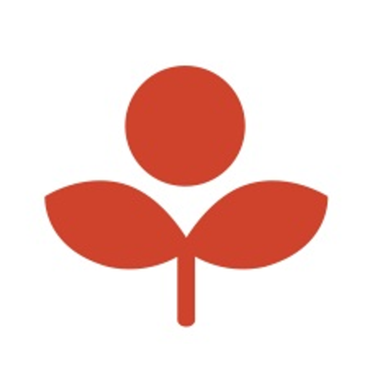 International Elementary School PYP Teacher